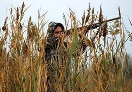 ممنوع شدن شکار پرندگان آبزی در خوزستان