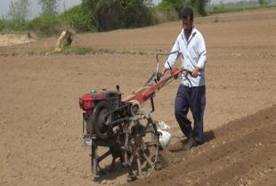 آغاز کار بادام کاران آستانه ای