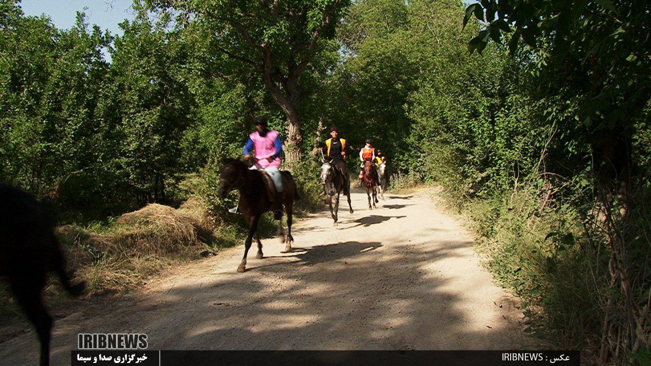 آغاز رقابت های سوارکاری استقامت کشور در مراغه