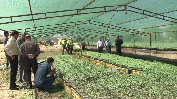 کاهش 30 درصدی مصرف آب با کشت نشایی محصولات