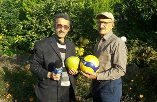 پرورش پرتقال به اندازه توپ به همت دبیر خوش ذوق رامسری