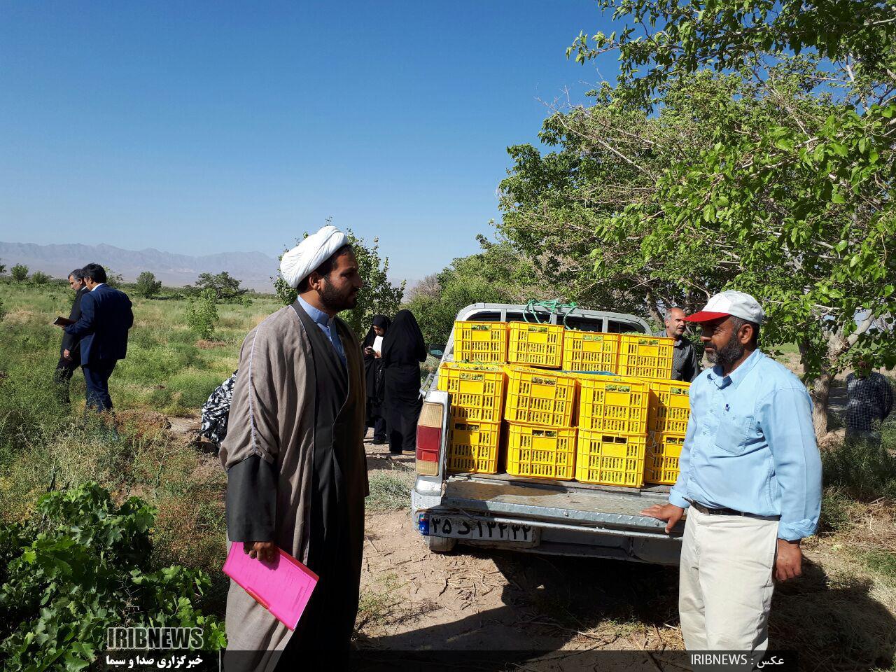 افزایش 83 درصدی پرداخت زکات در خراسان جنوبی