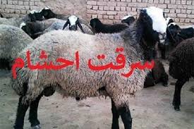 متلاشی شدن باند سارقان احشام در خاتم
