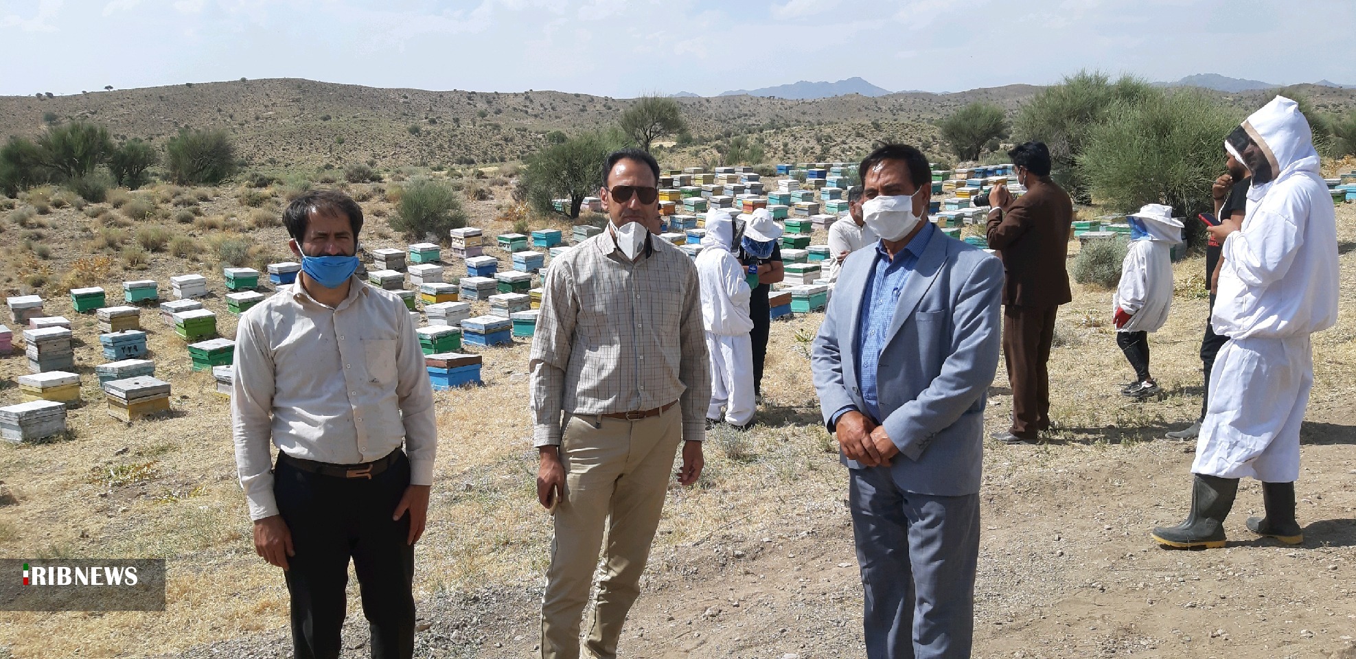 تولید100 تن عسل در سیرجان تولید100 تن عسل در سیرجان