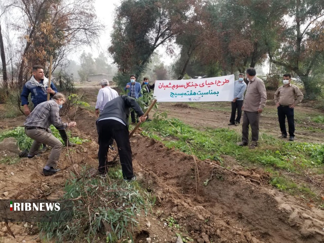 احیای جنگل کوی سوم شعبان دزفول