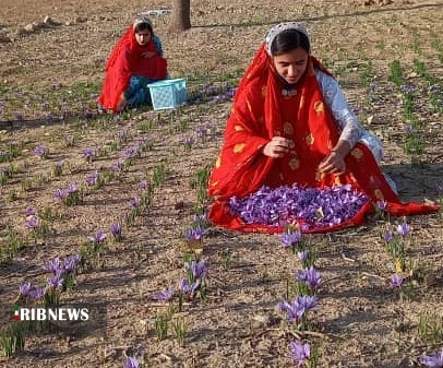 توانمند سازی جوامع محلی خوزستان؛ گامی در جهت حفظ و احیای منابع طبیعی