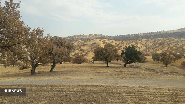 باد با سرعت ۸۵ کیلومتر بر ساعت، راز را درنوردید.