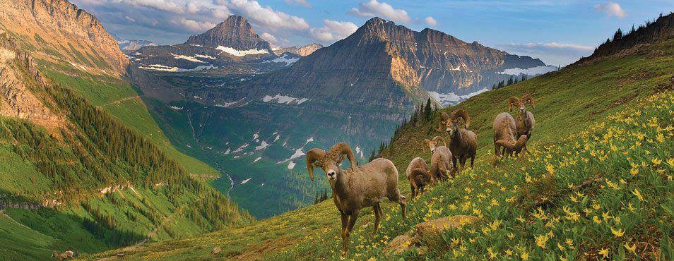 ولایت بدخشان افغانستان کجاست و چه اهمیتی دارد؟