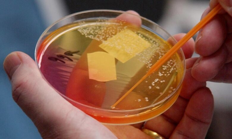 نور درمانی جدید