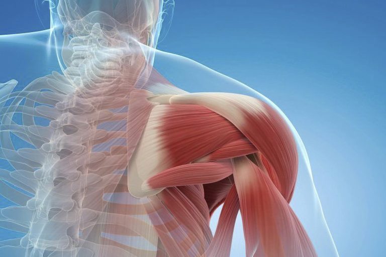 پیشگیری تحلیل عضله در زمستان پیشگیری تحلیل عضله