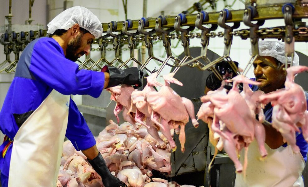 نظارت بر تولید بیش از ۸ هزار تن گوشت قرمز و مرغ در خوزستان