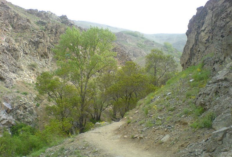 آبا می دانید آبشارچال مگس کجاست؟