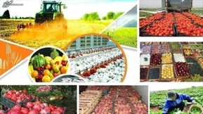 تاکید بر فرآیند محور شدن کشاورزی کشور