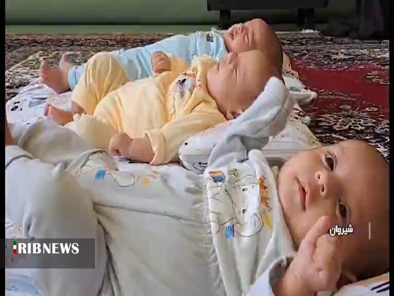 حمایت ستاد اجرایی فرمان امام از سه قلو‌های شیروانی