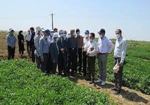 فعالیت تعداد ۱۴ شرکت‌های خدمات فنی مهندسی در پهنه‌های کشاورزی شهرستان میاندوآب