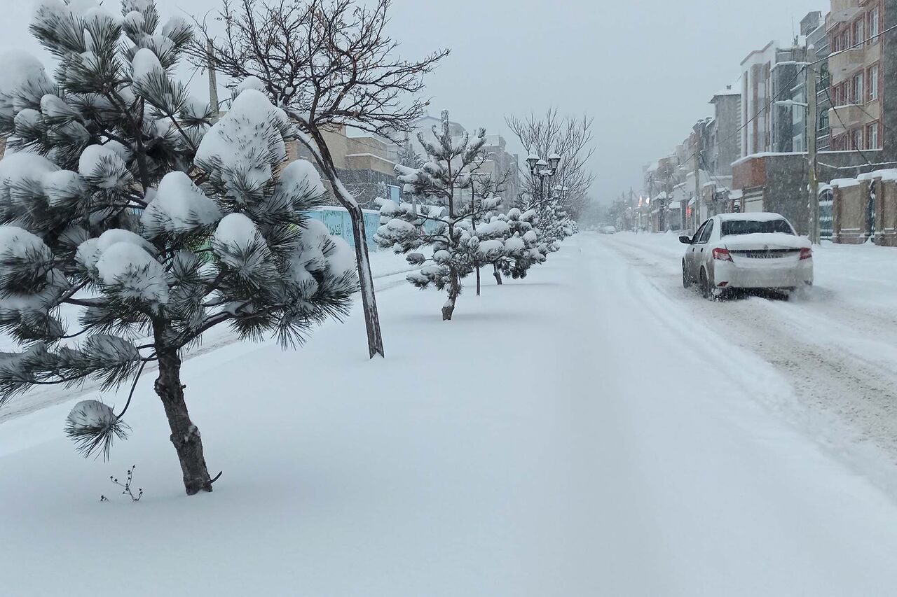 هفته ای زمستانی در زنجان ؛ آماده‌باش برای بارش برف و کاهش دما