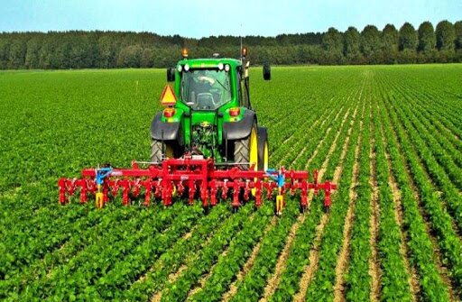 افزایش تولیدات کشاورزی خوزستان در دولت سیزدهم افزایش تولیدات کشاورزی خوزستان در دولت سیزدهم