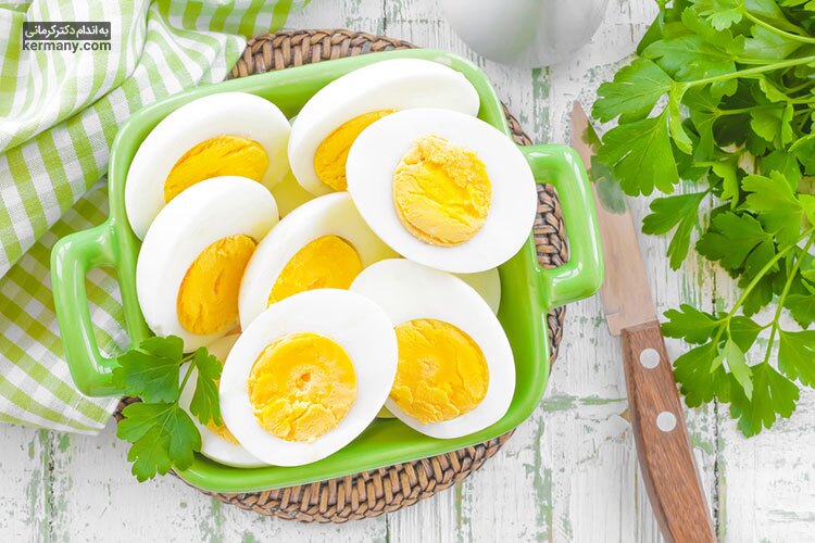 تخم مرغ منبع پروتئین و بهترین گزینه برای عضله سازی ورزشکاران