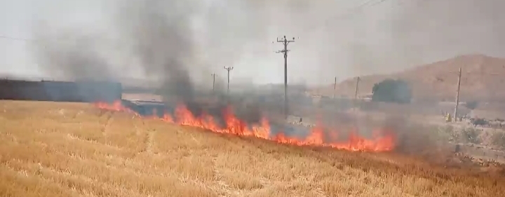 وقوع بیش از ۳۰ حادثه حریق در مراتع و منابع طبیعی خوزستان
