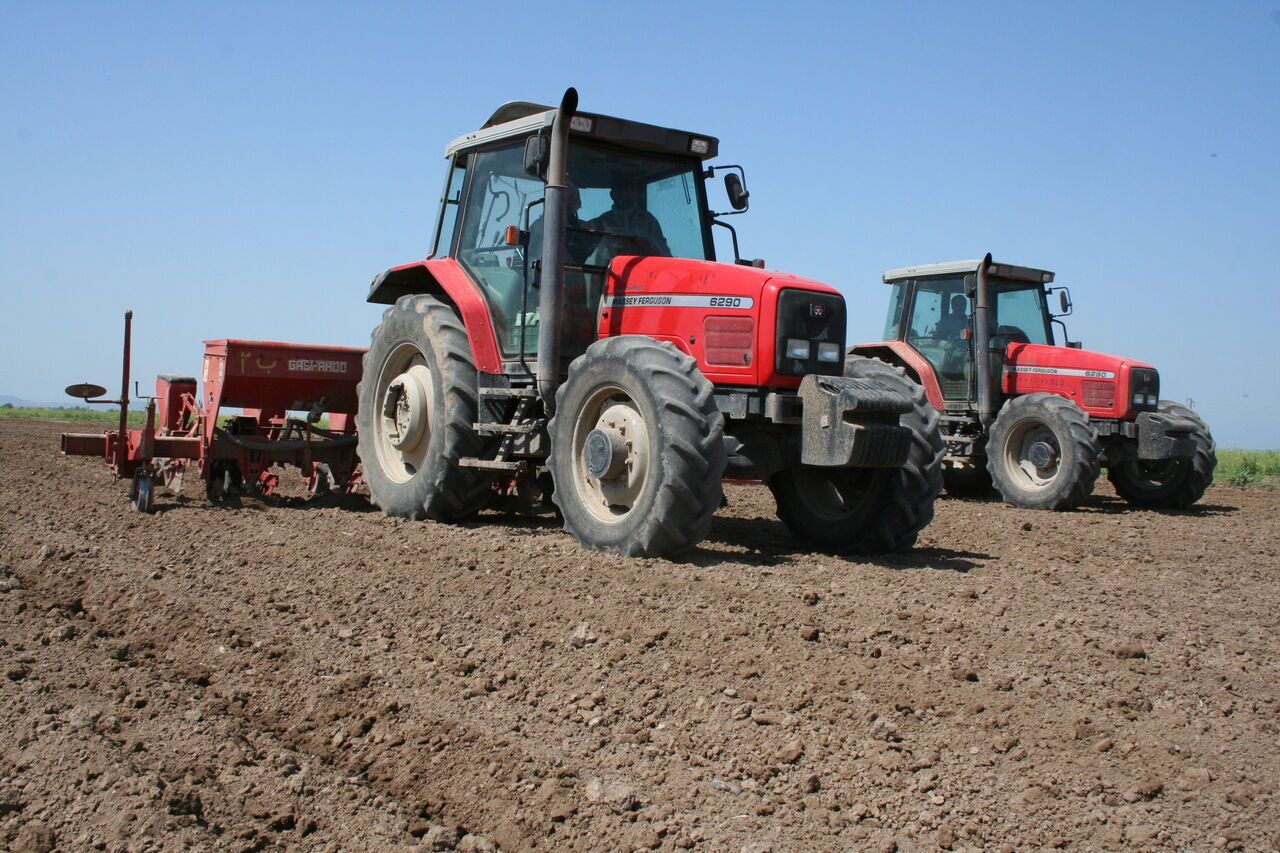 حدود ۴۰۰ هزار هکتار از مزارع آذربایجانغربی به کشت گندم اختصاص یافت حدود ۴۰۰ هزار هکتار از مزارع آذربایجانغربی به کشت گندم اختصاص یافت
