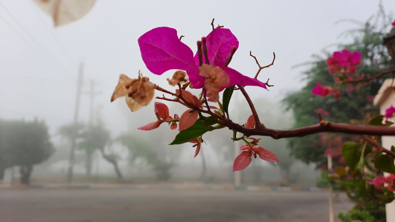 تداوم رطوبت صددرصدی هوا در جنوب غرب خوزستان