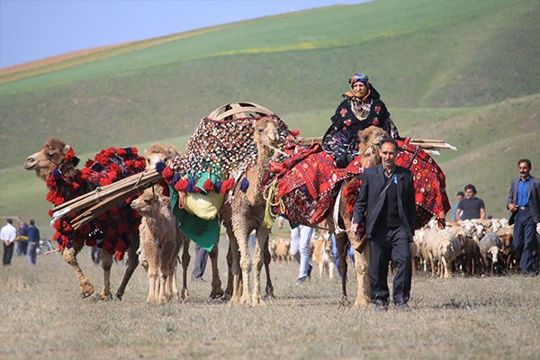 آغاز کوچ عشایر به استان بوشهر