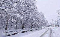 بارش موثر برف و باران امروز در گلستان