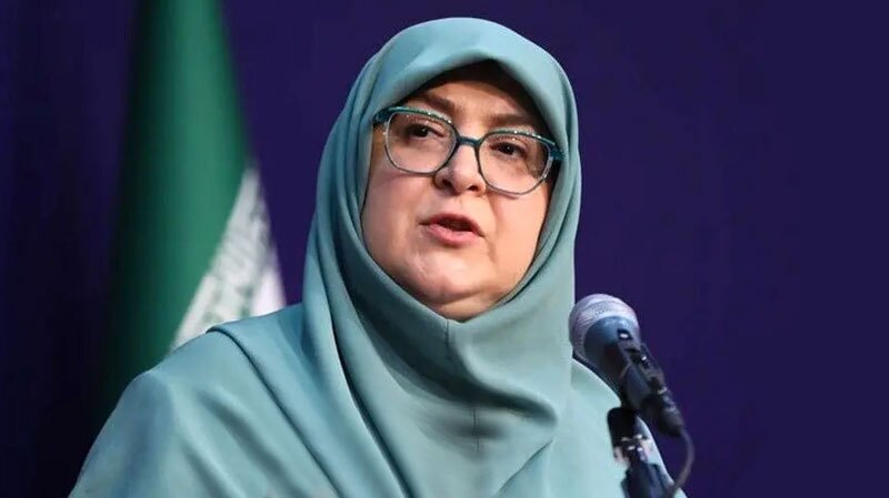 سخنگوی دولت: نباید امور کشور به گفت‌و‌گو‌ها گره بخورد