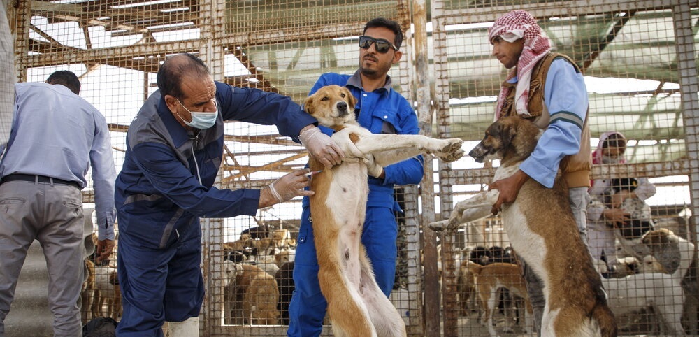 پیام خوزستان