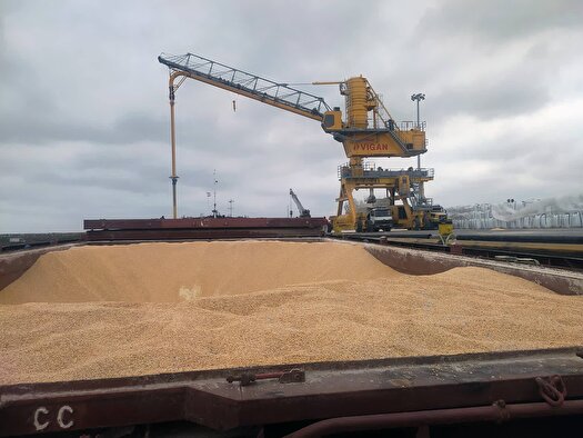 مازندران ۲۵ درصد نهاده جو و ذرت کشور را تأمین می‌کند