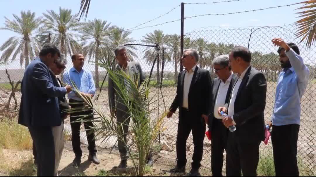 کاروان تحقیقی، آموزشی و ترویجی مبارزه با آفات خرما