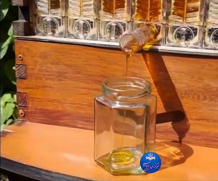 فعالیت ۱۳۱ هزار کندوی مدرن فعالیت ۱۳۱ هزار کندوی مدرن