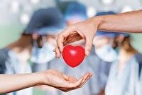 نجات ۴ نفر با اهدای اعضای بیمار مرگ مغزی در مشهد