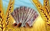 واریز ۲۸.۵ همت به حساب گندم‌کاران کشور
