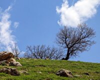دمای هوای خراسان رضوی خنک می‌شود