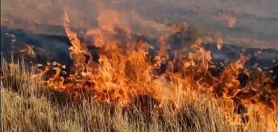 مهار حریق ۱۰۰ هکتار از مراتع روستای رود آباد سمیرم