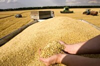 واریز ۱۱۰ هزار میلیارد ریال مرحله سوم مطالبات گندمکاران خوزستان+فیلم