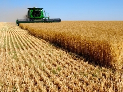 پرداخت 21 همت از مطالبات گندمکاران خوزستانی