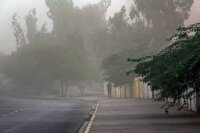 وزش باد تا اواسط هفته در استان