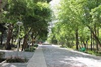 بهره برداری از بوستان بانوان «نصرت» مشهد؛ فردا دوشنبه