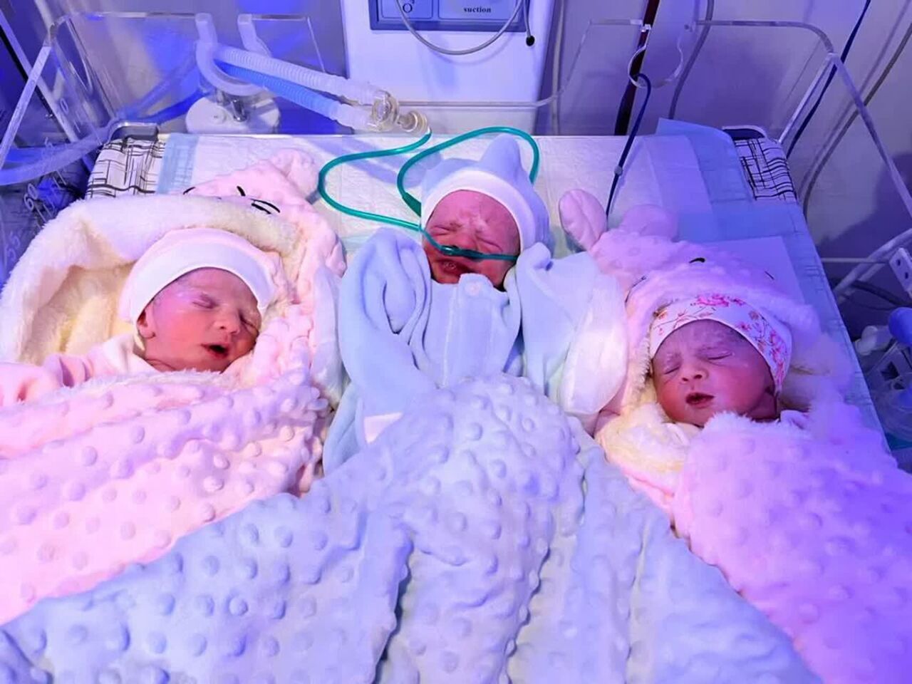 بارداری موفق با روش‌های دارویی کمک باروری IVF دربعثت سنندج