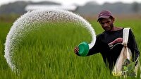 تامین ۱۷۰۰ تن کود سوپر فسفات برای گلستان