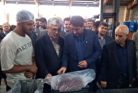 بازدید استاندار کردستان از واحد‌های تولیدی شهرستان دهگلان