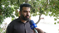 شعور یک شعار