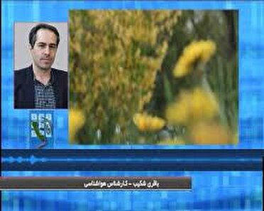 کاهش دما در استان همدان