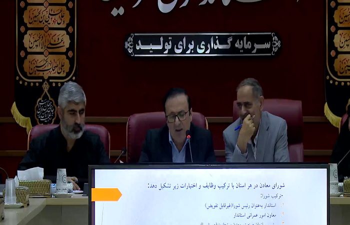 معادن در دست سرمایه‌گذارنماها، تعیین تکلیف می‌شوند