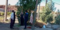 جلوگیری از عرضه دام کشتارشده خارج از نظارت بهداشتی دامپزشکی بهبهان