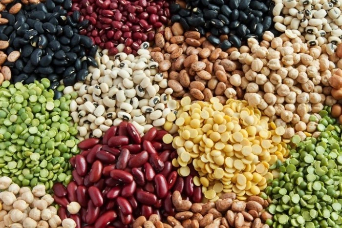 آغاز ثبت سفارش چای و حبوبات برای تابستان