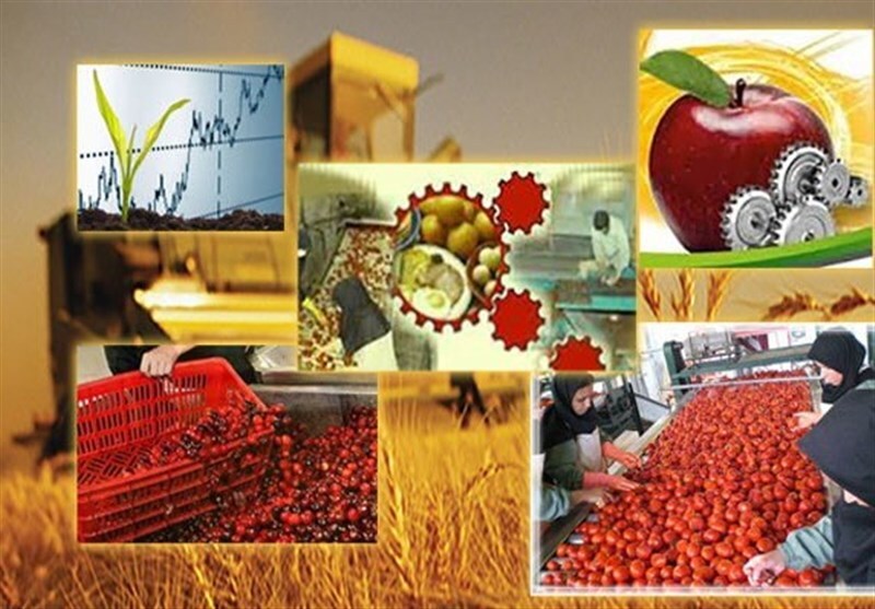 احداث شهرک صنایع تبدیلی و تکمیلی در باباریز سنندج احداث شهرک صنایع تبدیلی و تکمیلی در باباریز سنندج