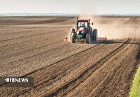 کشاورزان بر اساس مقدار آب در اختیار نسبت به کشت پاییزه اقدام کنند